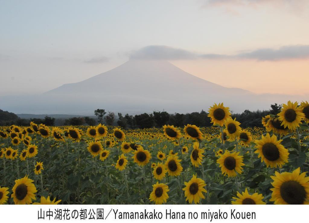 Pension Country Diary Yamanakako Exteriér fotografie